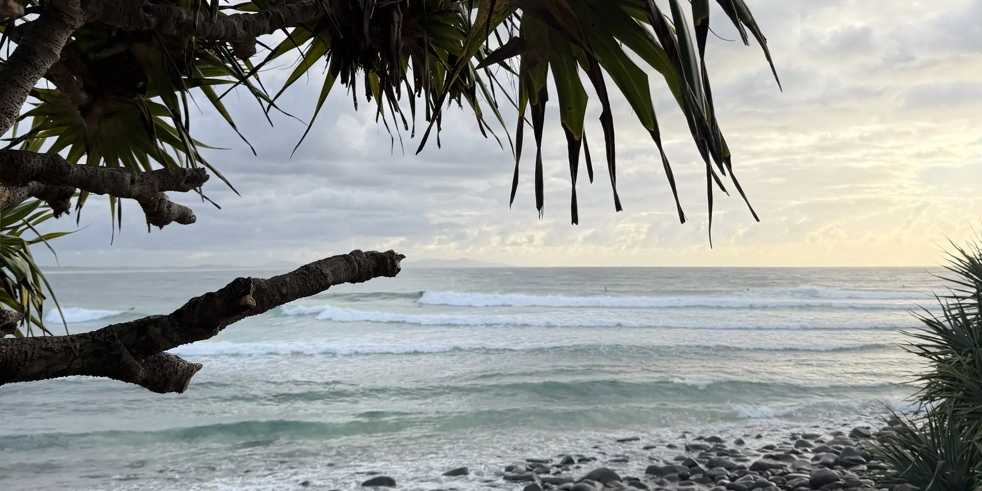 Surf rolling in at the point, framed by pandanus, the rocky shore below