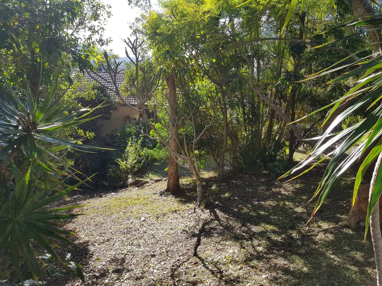 The leafy upper yard at The Deck, Crescent Head — a comfortable alternative to camping